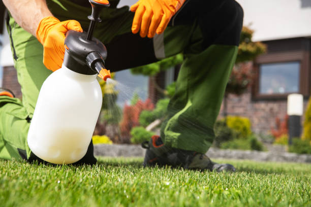 Professional Pest Control in University, MS