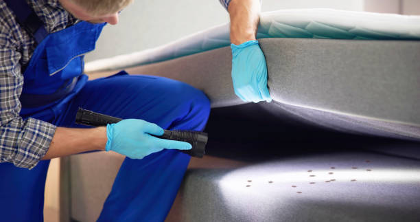 Best Flea Control Services  in University, MS