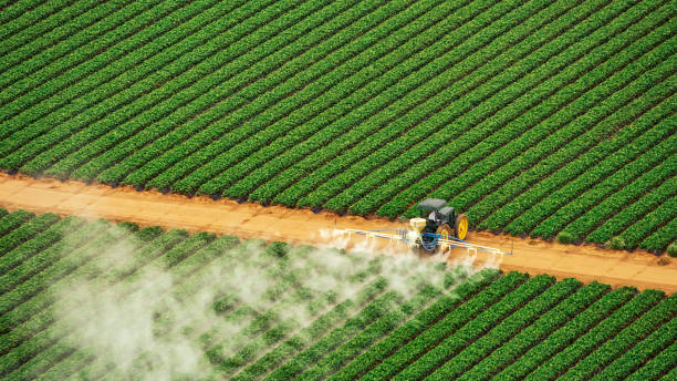 Best Best Pest Control Companies  in University, MS
