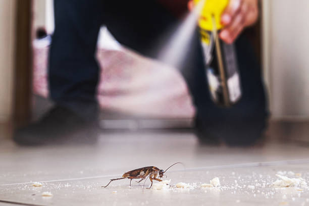 Best Mosquito Control Services  in University, MS